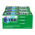 Orbit Sugar Free Gum - Spearmint - 12ct